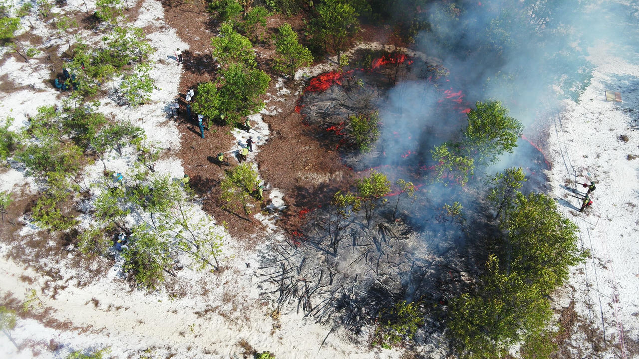 Đốt rừng để diễn tập chữa cháy - Kiểm lâm Quảng Nam nói gì?