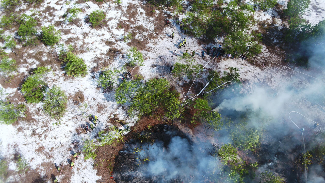 Đốt rừng để diễn tập chữa cháy - Kiểm lâm Quảng Nam nói gì?