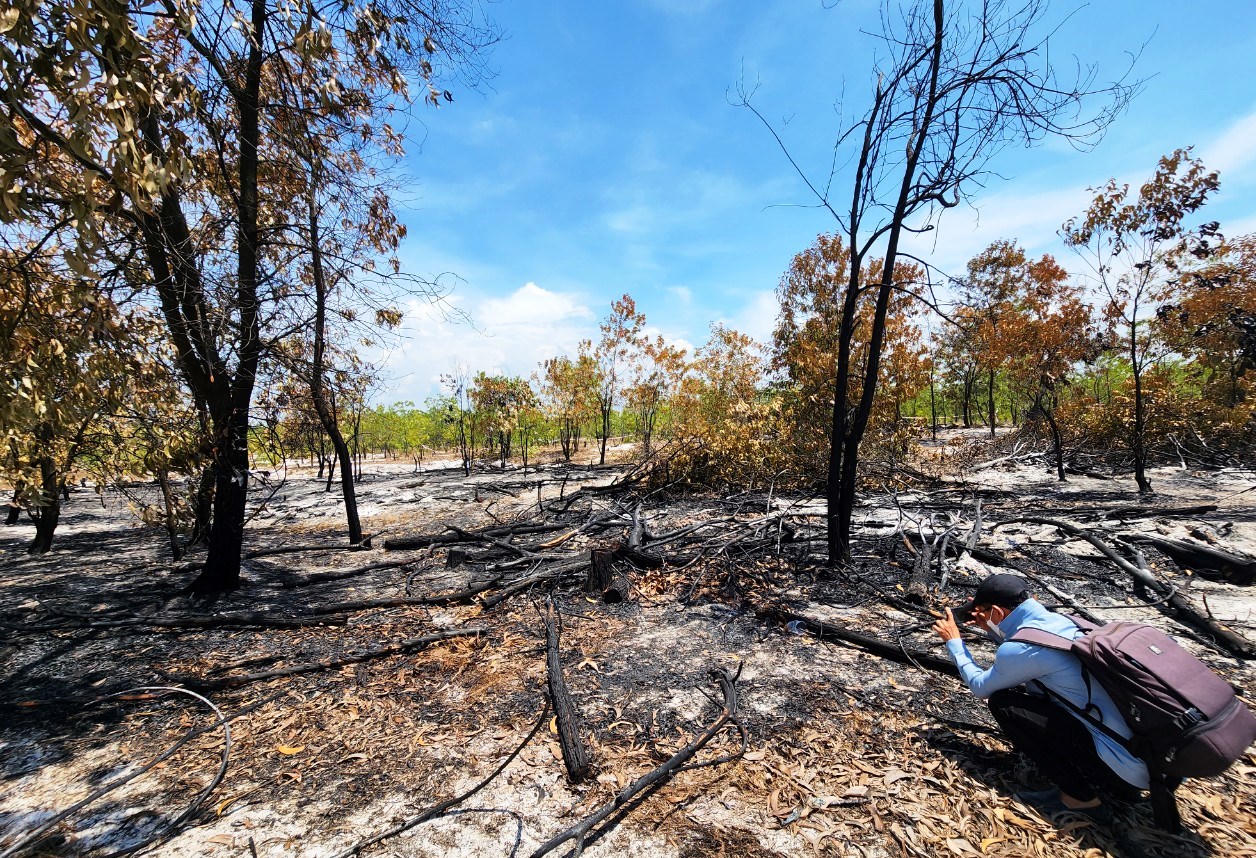 Đốt rừng để diễn tập chữa cháy - Kiểm lâm Quảng Nam nói gì?