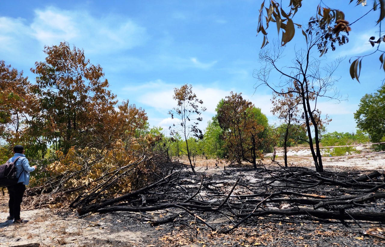 Đốt rừng để diễn tập chữa cháy - Kiểm lâm Quảng Nam nói gì?