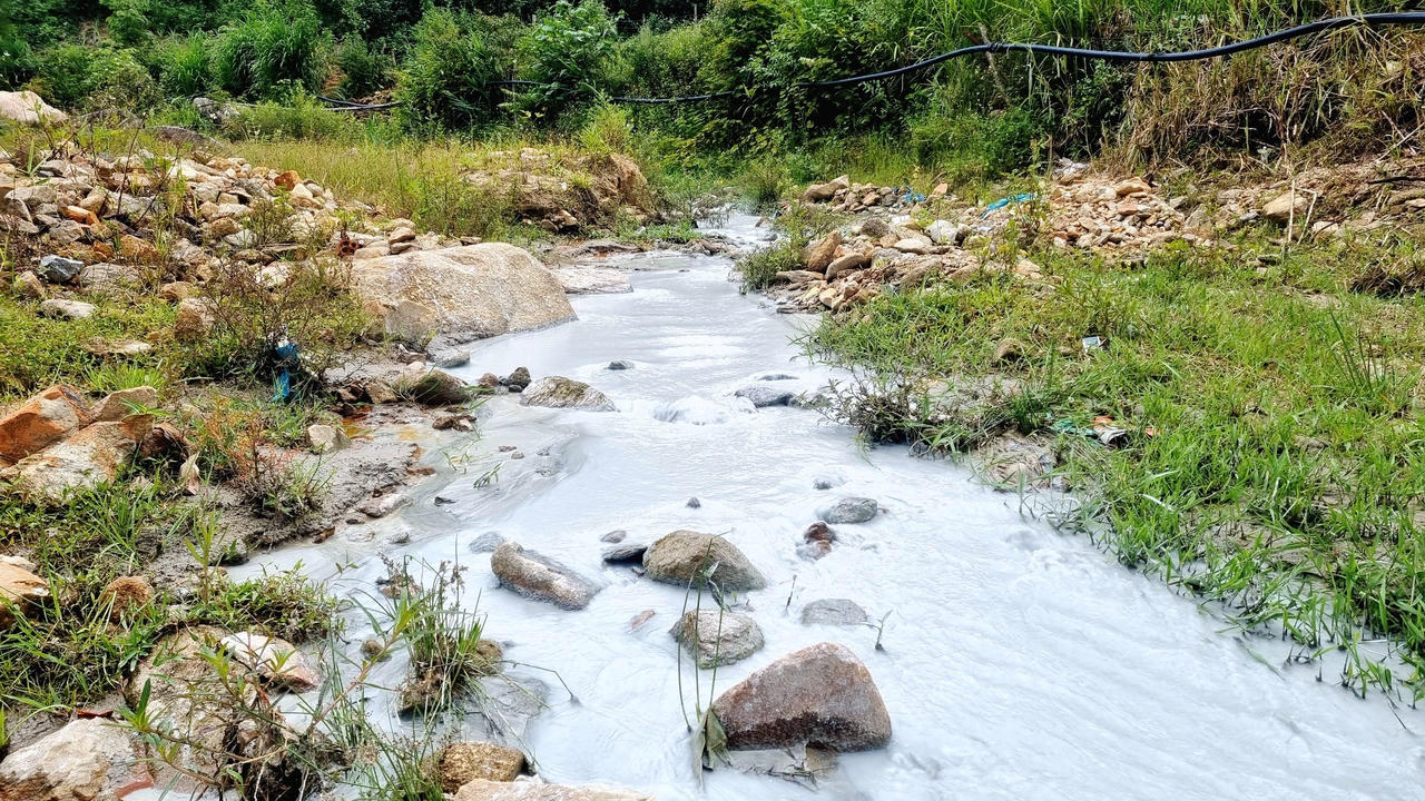 Quảng Nam: Mỏ vàng xả nước thải ra suối đục ngầu, “đại gia vàng” nói gì?