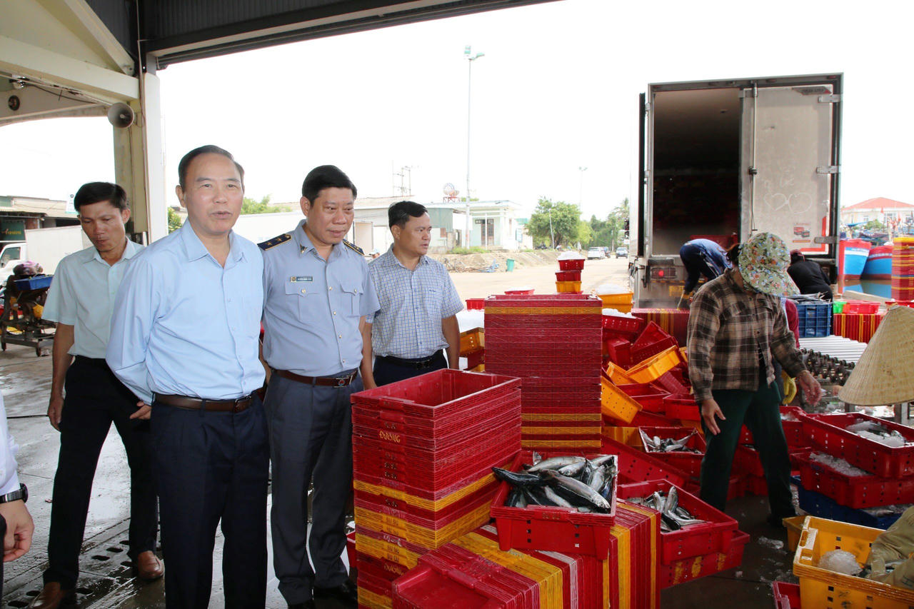 Quảng Ngãi khắc phục tồn tại để chung tay gỡ 'thẻ vàng' IUU