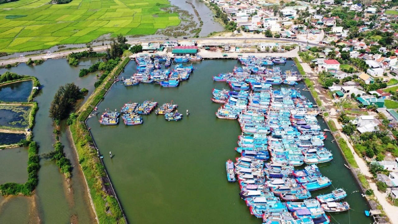 Nhiều chuyển biến tích cực trong chống khai thác IUU ở Quảng Ngãi