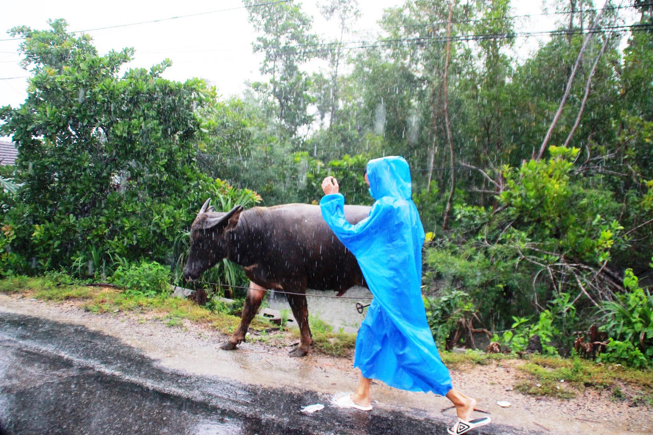 Nước 'bao vây', người dân Quảng Nam dùng ghe di chuyển trên đường bộ