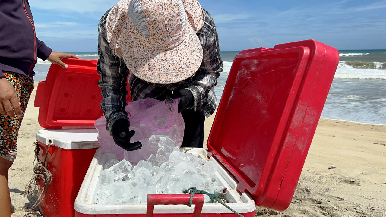 Ngư dân Quảng Ngãi ra khơi mưu sinh mùa biển động