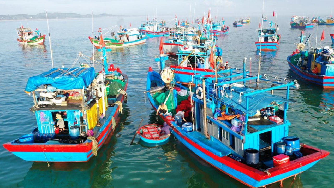 Chủ hai tàu cá ở Quảng Ngãi bị phạt hơn 3,1 tỷ đồng