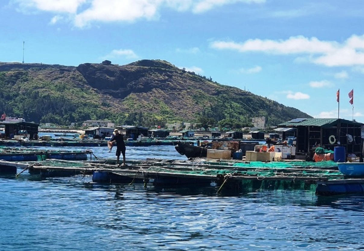 Quảng Ngãi đề xuất cấm đánh bắt cá có thời hạn 5 khu vực biển ven bờ