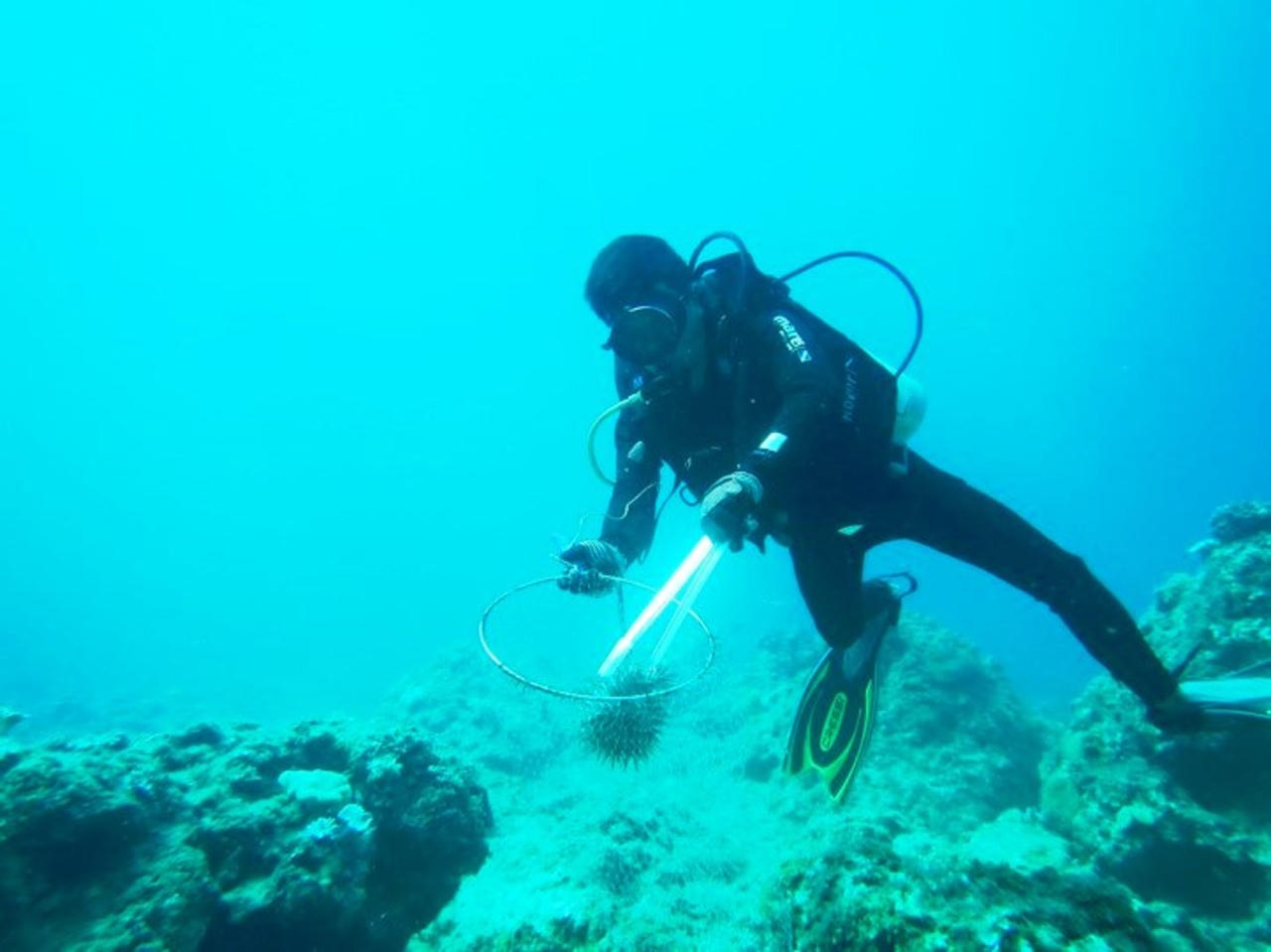 Nhiều khu bảo tồn biển của Việt Nam vẫn còn “nằm trên giấy”