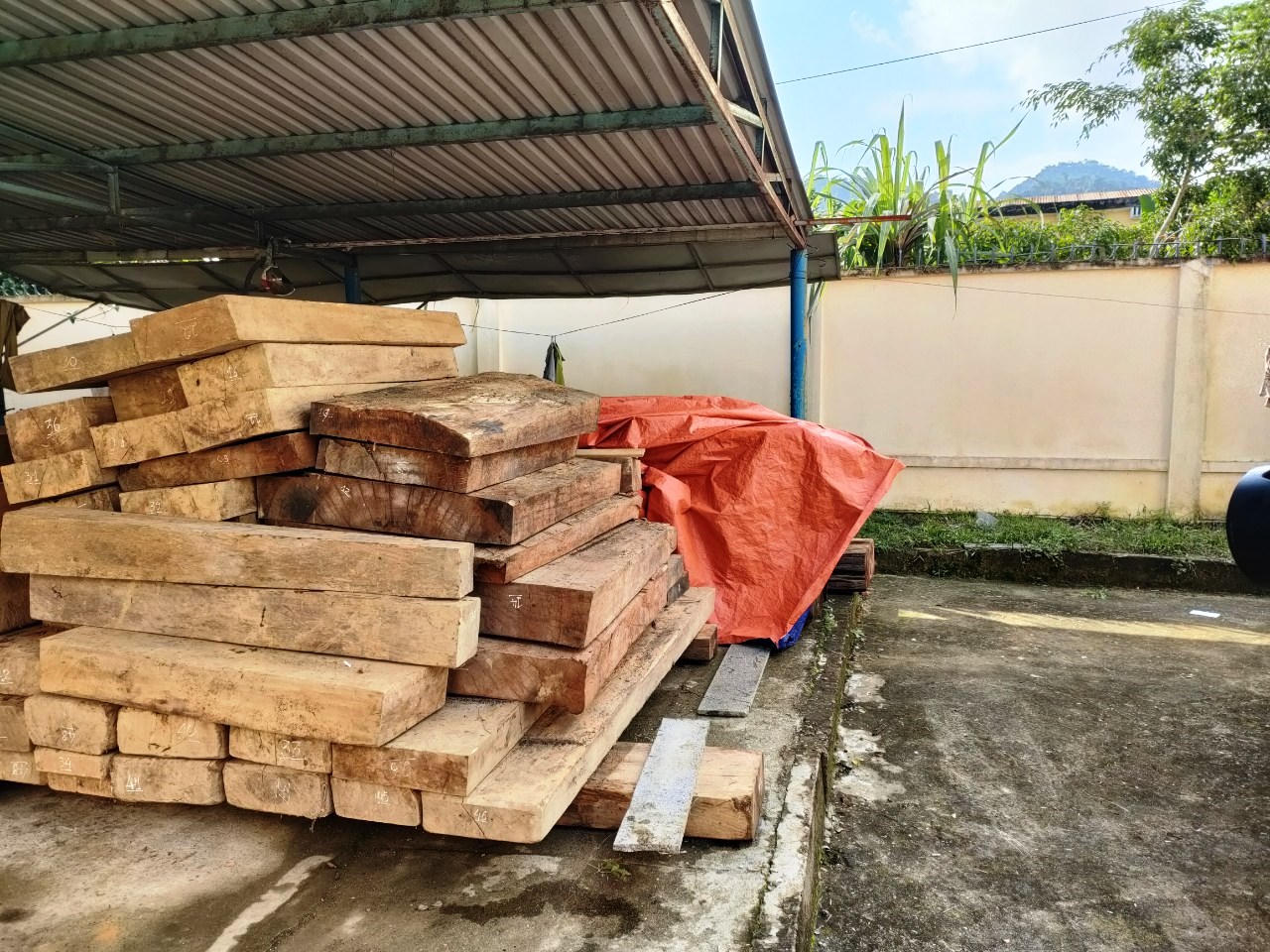 Phát hiện gần 5 khối gỗ lậu trên đất của trưởng phòng nội vụ một huyện ở Quảng Nam