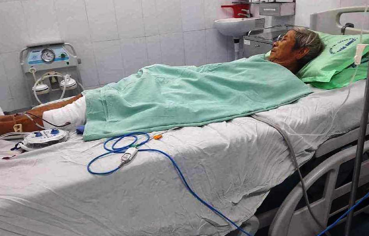 Khỉ hoang cắn 3 người bị thương và cắn chết 4 con chó ở Quảng Nam