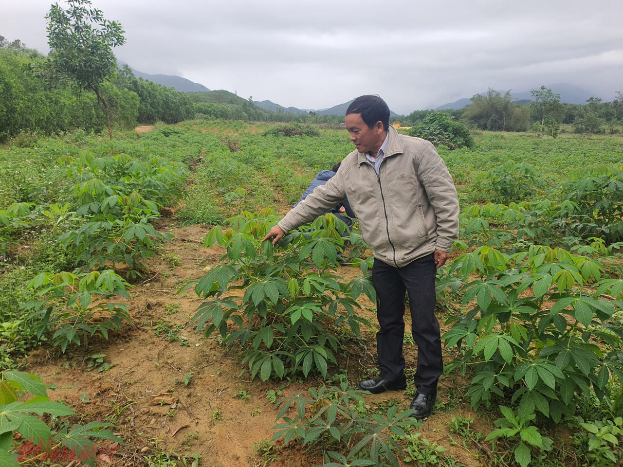 Khởi tố vụ án hình sự liên quan sai phạm của Giám đốc Sở Khoa học và Công nghệ Quảng Ngãi