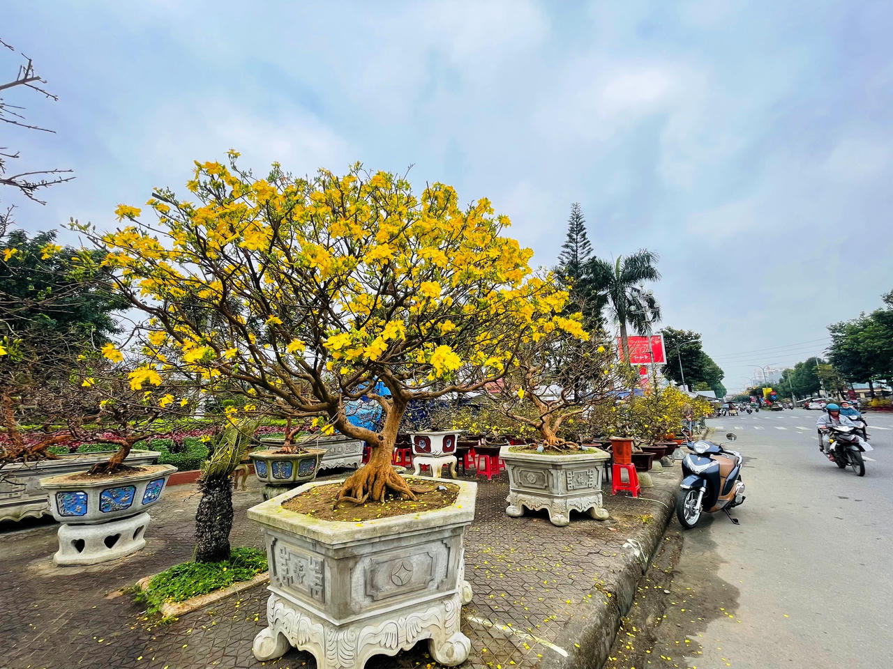 Rực rỡ sắc màu chợ hoa xuân lớn nhất Quảng Ngãi