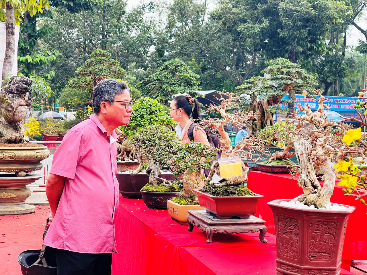 Rực rỡ sắc màu chợ hoa xuân lớn nhất Quảng Ngãi