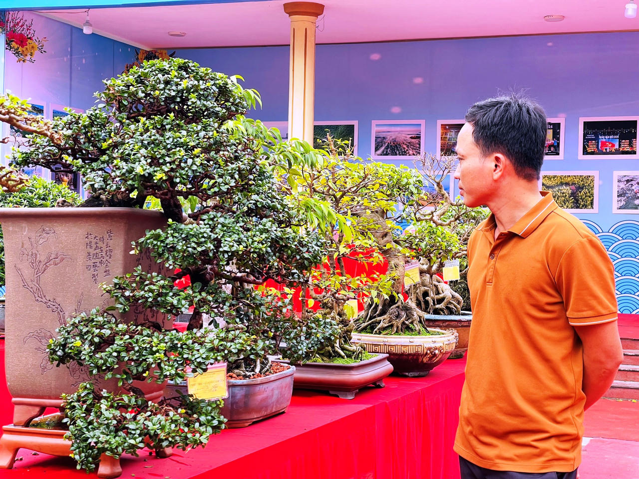 Rực rỡ sắc màu chợ hoa xuân lớn nhất Quảng Ngãi