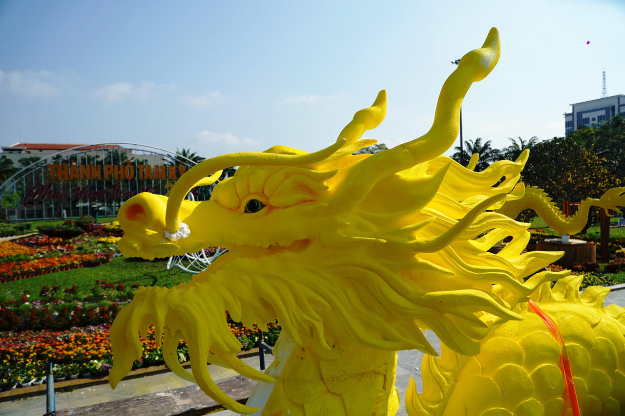 Vừa ra mắt, linh vật rồng ở Quảng Nam, Quảng Ngãi nhận “mưa” lời khen