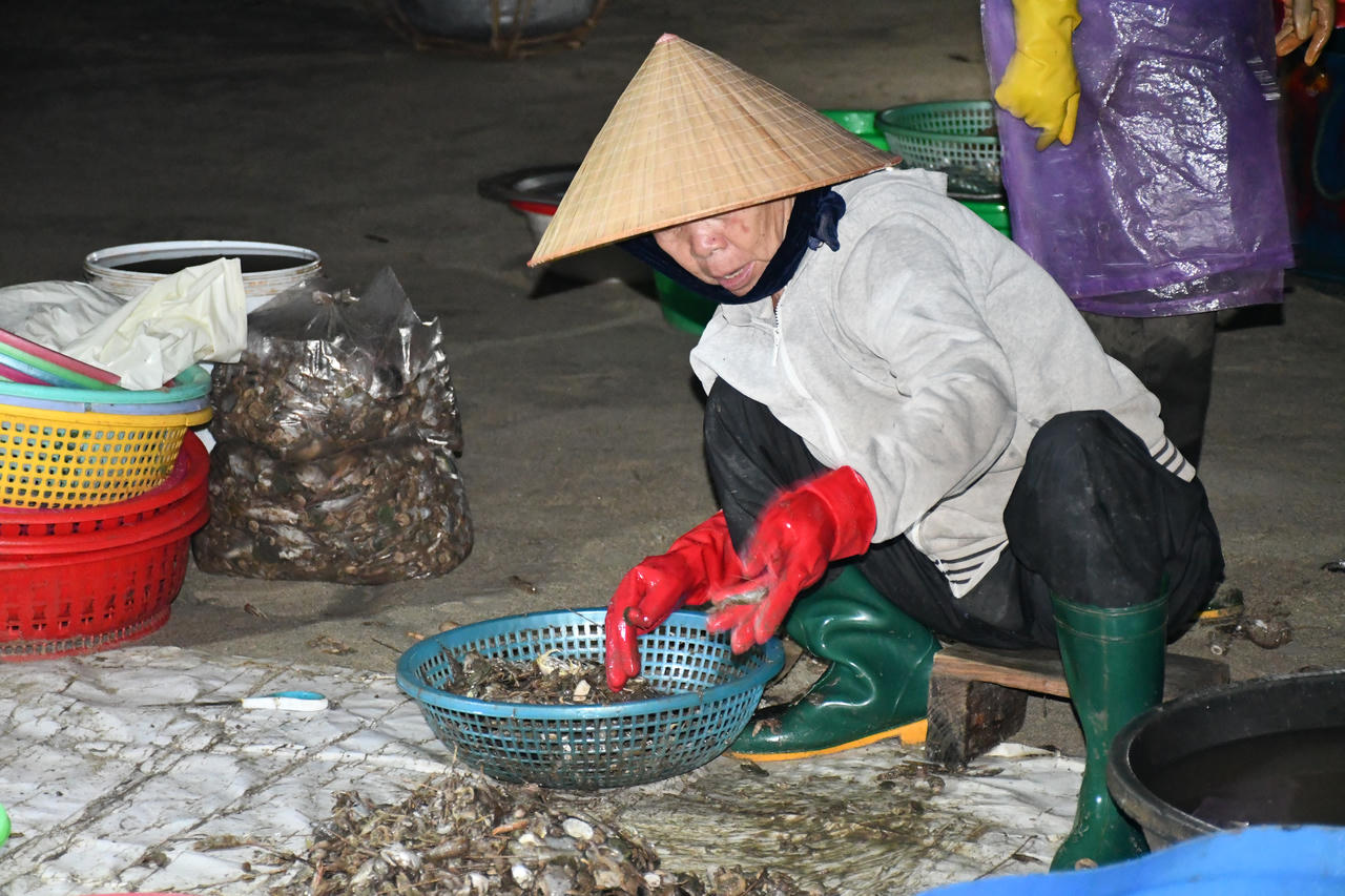 Cảnh phụ nữ làng chài tất bật mưu sinh ở Đà Nẵng