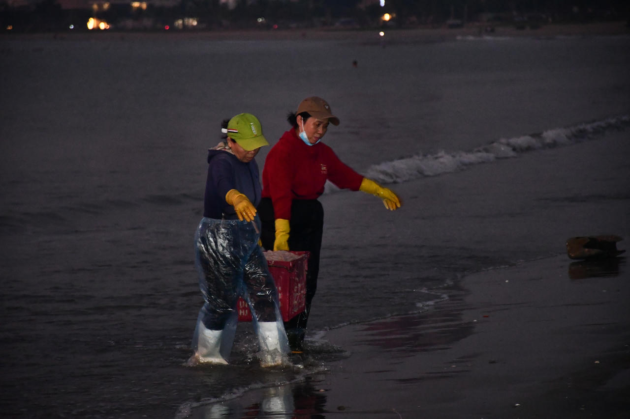Cảnh phụ nữ làng chài tất bật mưu sinh ở Đà Nẵng