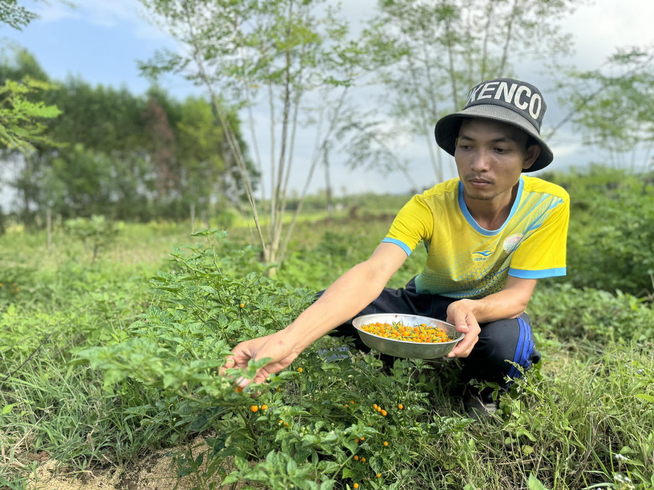 Tuổi trẻ Quảng Ngãi với nhiều dấu ấn khởi nghiệp