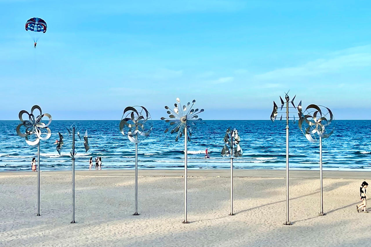 Đà Nẵng chuẩn bị đưa đường hoa biển vào hoạt động