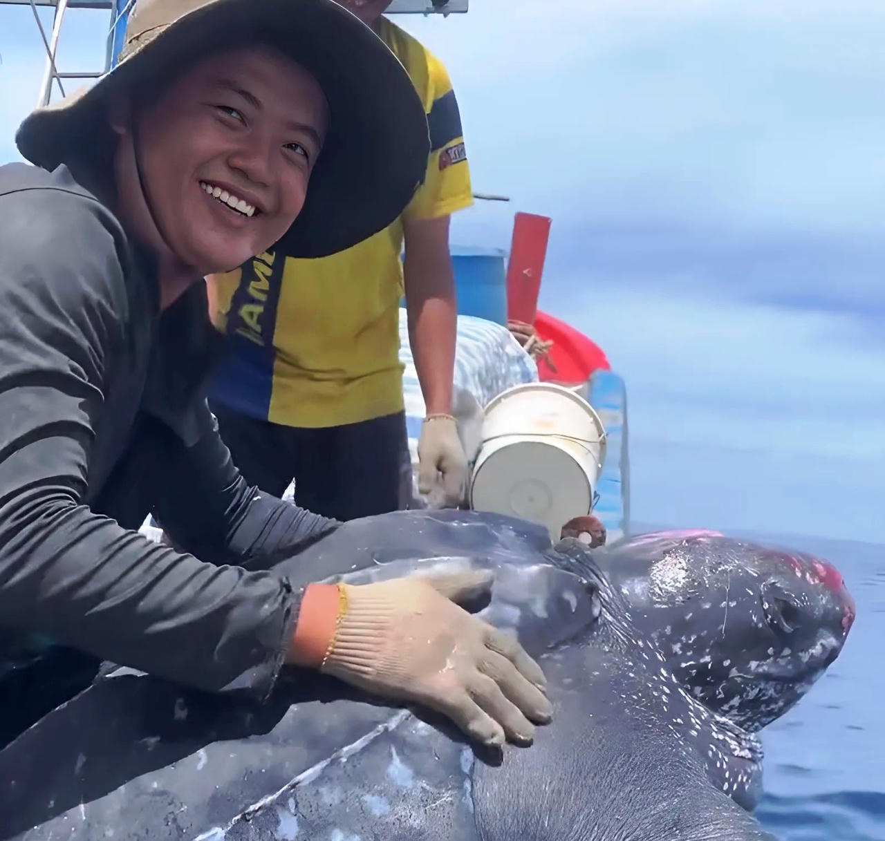 Ngư dân Quảng Nam thả cá thể rùa quý hiếm nặng 200kg về biển