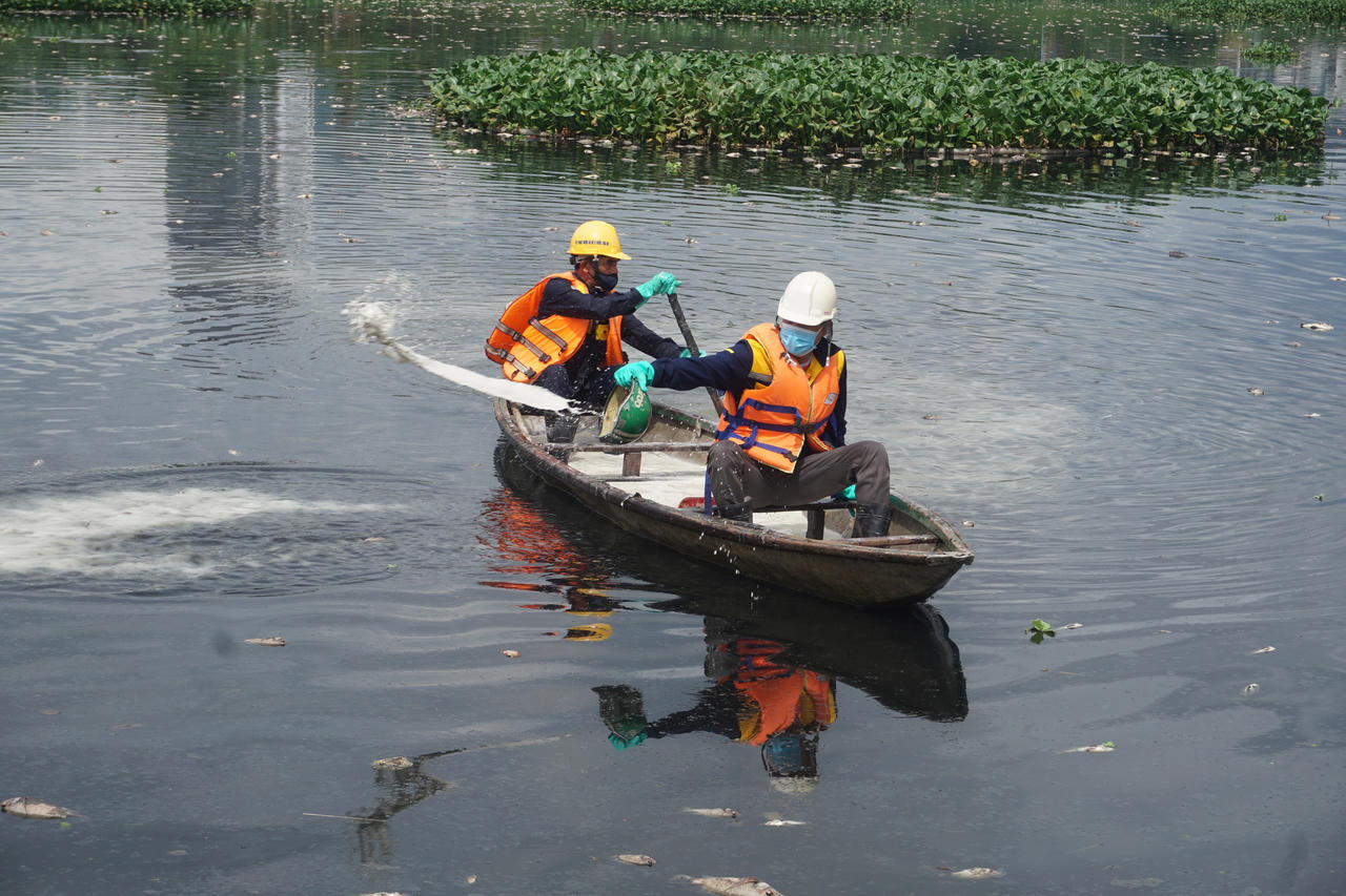 Hình ảnh cá chết nổi trắng hồ ở Đà Nẵng