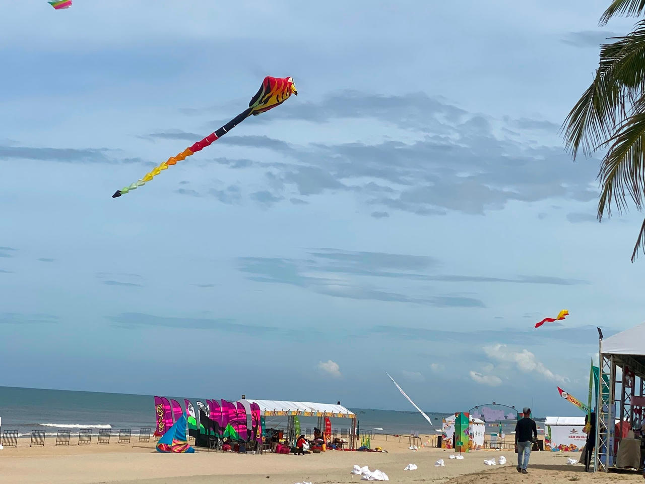 12 quốc gia tham dự Lễ hội diều quốc tế Quảng Nam 2024