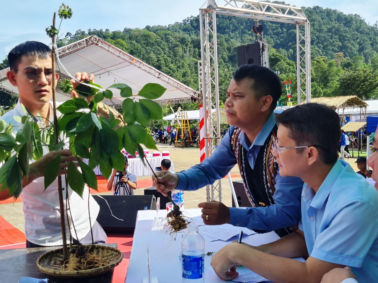 Độc đáo nơi 'hội tụ' tinh hoa sâm Ngọc Linh