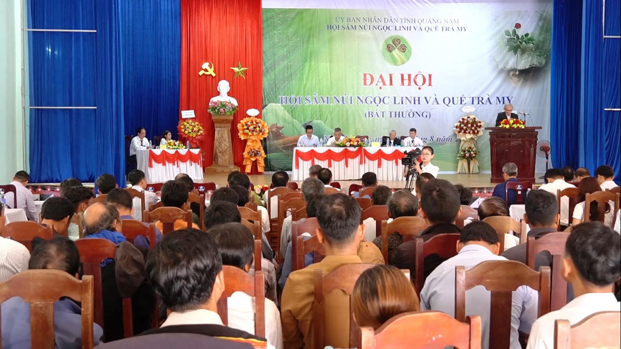 Thành lập Hội sâm Ngọc Linh và Hội quế Trà My