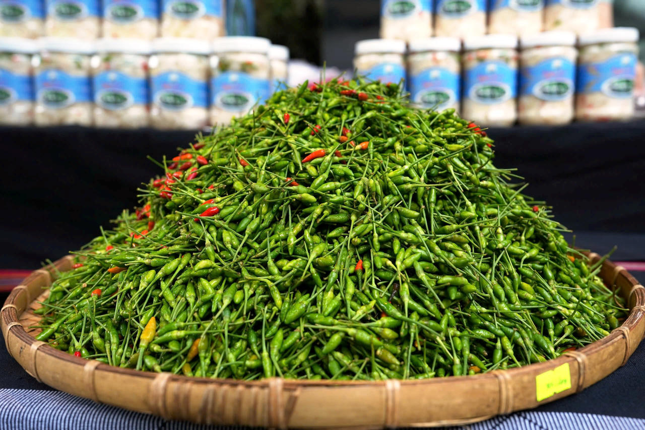 Khai mạc lễ hội ớt A Riêu lần thứ nhất năm 2024