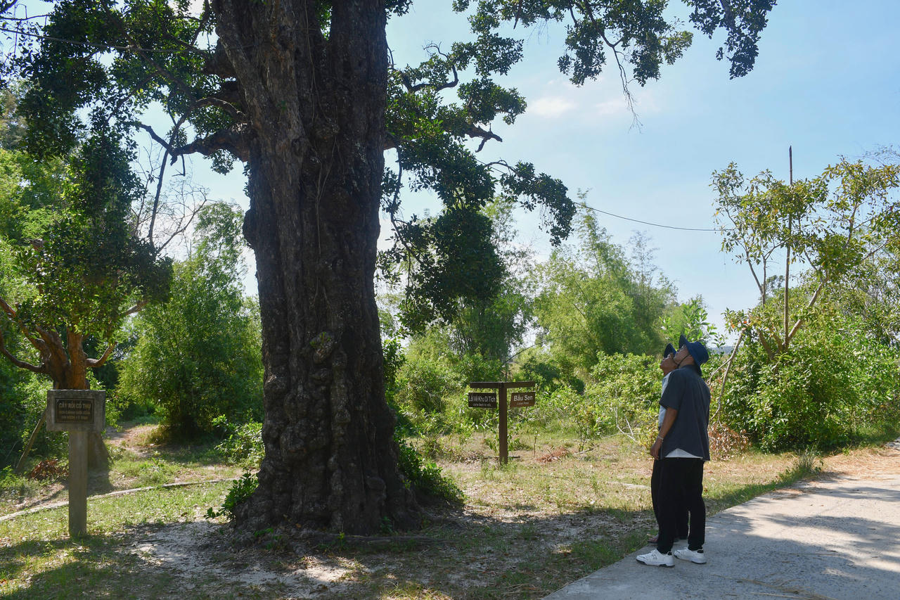 Đặc sắc địa đạo Kỳ Anh