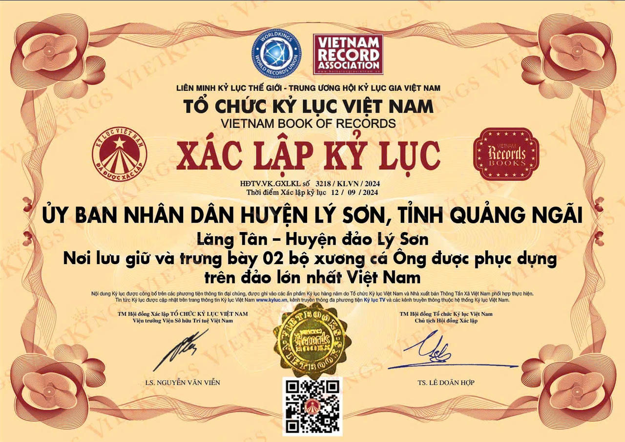 Hai bộ xương cá Ông ở đảo Lý Sơn xác lập kỷ lục lớn nhất Việt Nam