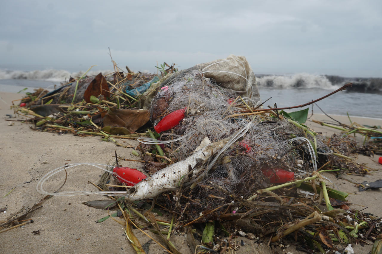 Bờ biển Đà Nẵng ngập rác, sông Hàn bị lục bình 'bao vây' sau mưa lớn 