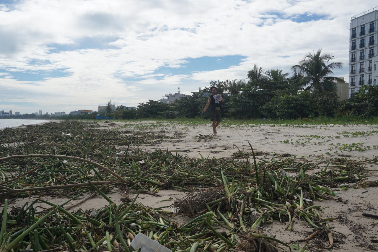 Bờ biển Đà Nẵng ngập rác, sông Hàn bị lục bình 'bao vây' sau mưa lớn 