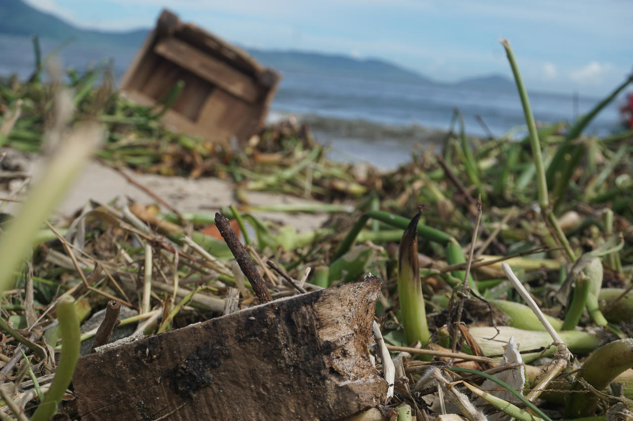 Bờ biển Đà Nẵng ngập rác, sông Hàn bị lục bình 'bao vây' sau mưa lớn 