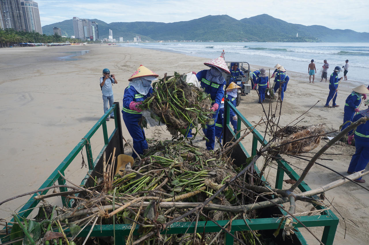 Bờ biển Đà Nẵng ngập rác, sông Hàn bị lục bình 'bao vây' sau mưa lớn 