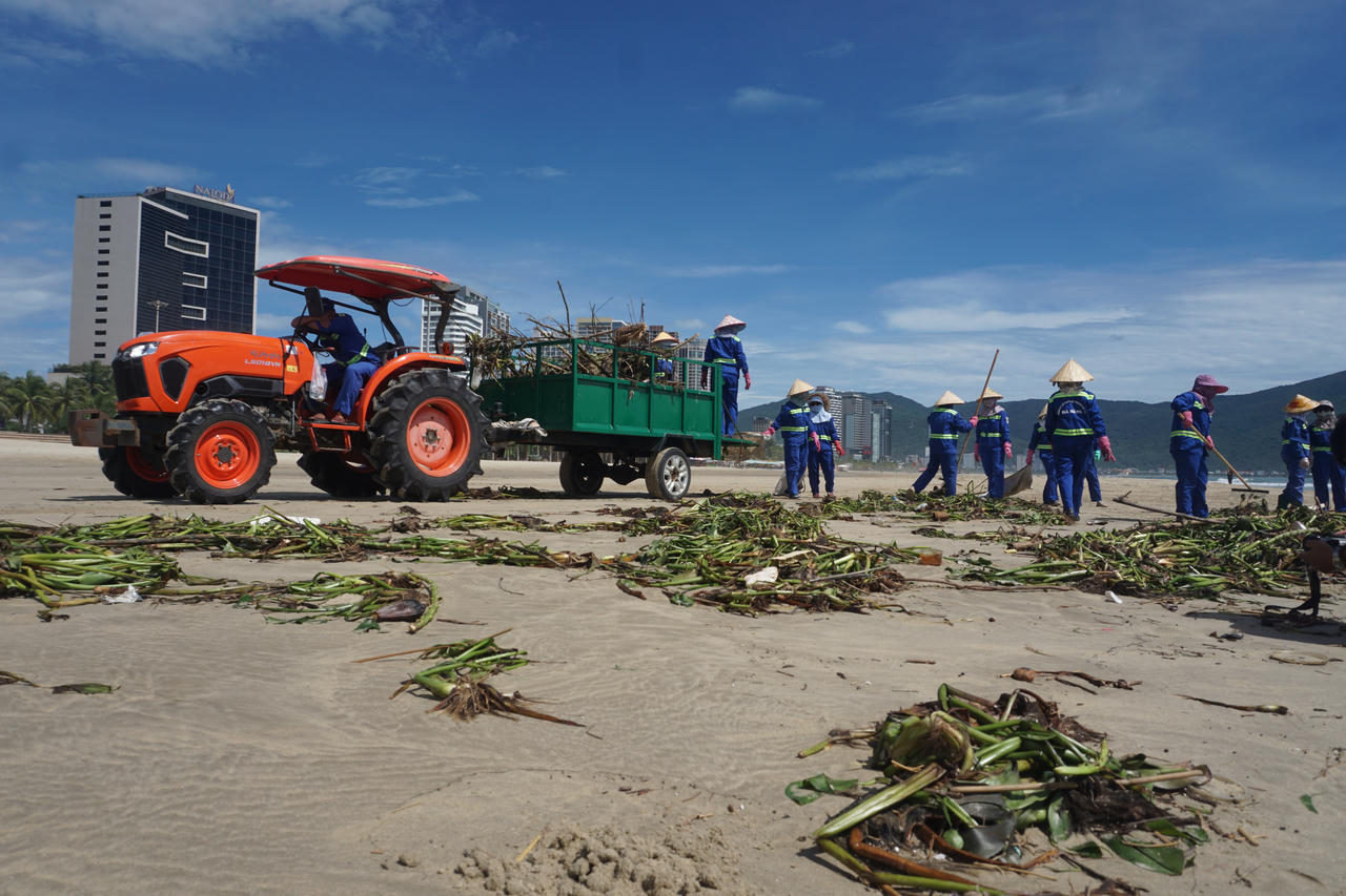 Bờ biển Đà Nẵng ngập rác, sông Hàn bị lục bình 'bao vây' sau mưa lớn 