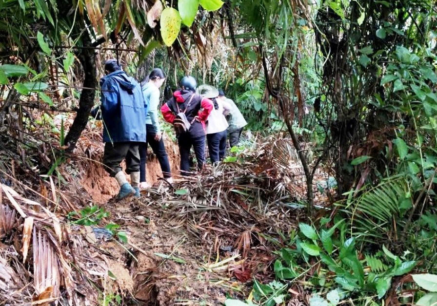 Quảng Nam: Phát hiện vết nứt sâu trên núi, khẩn cấp sơ tán 11 hộ dân