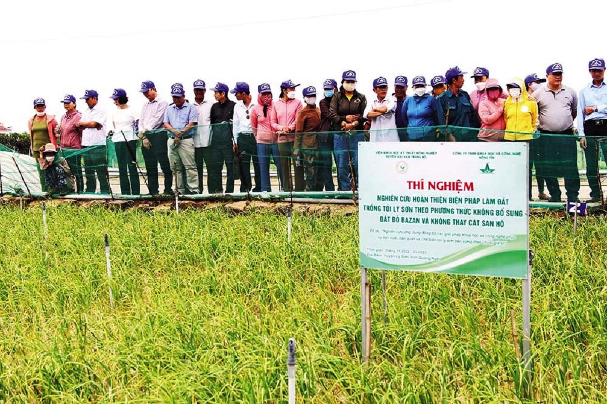 Số hóa ngành nông nghiệp, chìa khóa cho sự phát triển bền vững ở Quảng Ngãi