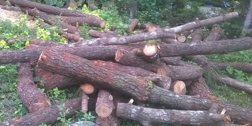 Dùng dao rựa “nói chuyện” với đoàn kiểm tra việc phá rừng