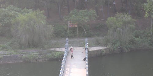 Huế: Cận cảnh dự án 70 tỷ đồng “chết” dần giữa đồi thông