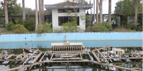 Huế: Cận cảnh dự án 70 tỷ đồng “chết” dần giữa đồi thông