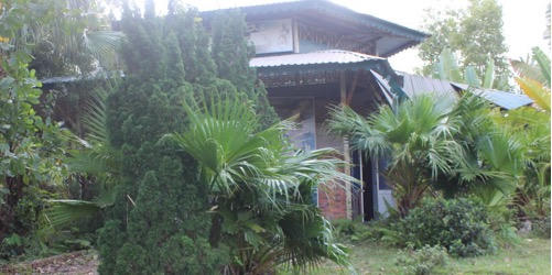 Huế: Cận cảnh dự án 70 tỷ đồng “chết” dần giữa đồi thông