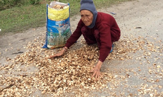 Huế: Xe 'vua' tung hoành trên Quốc lộ do được 'bảo kê'?