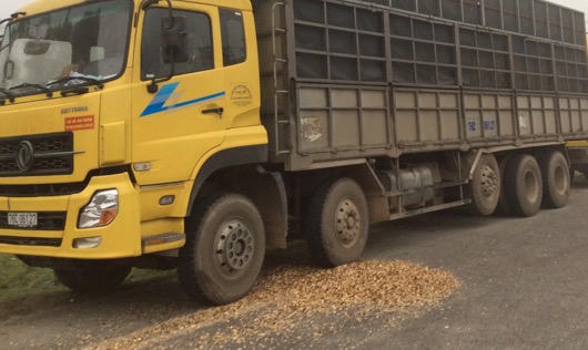 Huế: Xe 'vua' tung hoành trên Quốc lộ do được 'bảo kê'?