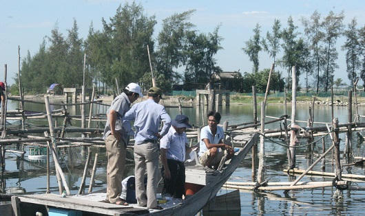 Cá nuôi chết hàng loạt ở Huế
