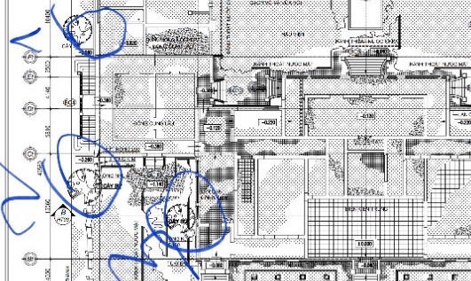 “Không thể đem cây Đại nội biếu sếp!” 