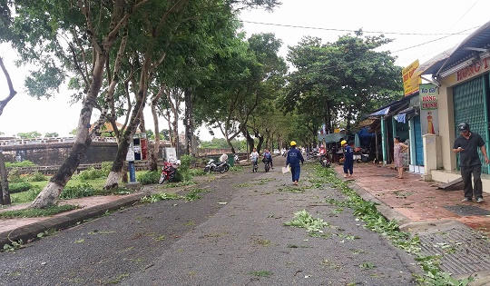 Huế: Nhiều cây xanh bật gốc do ảnh hưởng bão số 4