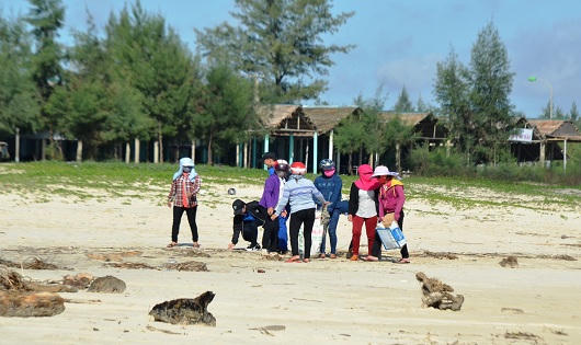 Quảng Trị hưởng ứng chiến dịch làm cho thế giới sạch hơn