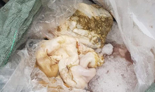 Phát hiện 3 tạ nội tạng thối trên xe khách giường nằm