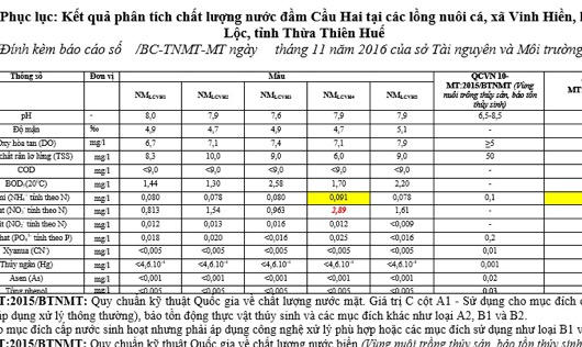Huế: Thông tin mới nhất cá chết ở đầm Cầu Hai